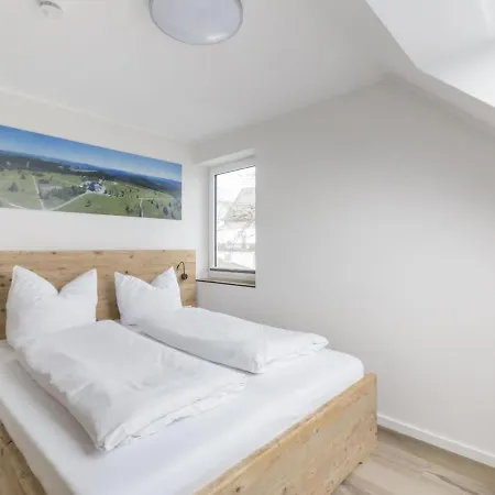דירה Alluring Holiday In Near Ski-area ווינטרברג
